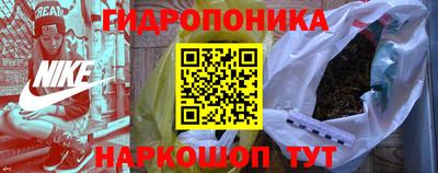 шишки Краснознаменск