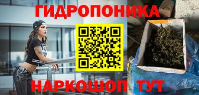 шишки Краснознаменск